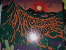 SIGNED Metronomy Forever 3xLP Vinyl Orange/Green + Mystery 12” NEW SEALED Rivier