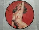 PICTURE DISC VINYLE 