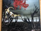 PROFANATICA” BROKEN JAW“ 7‘inch
