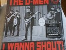 THE D-MEN - I WANNA SHOUT 64-67 US BRIT INVASION GARAGE ROCK aka FIFTH ESTATE LP