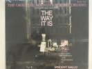 Vincent Gallo  THE WAY IT IS Soundtrack LP on Vinyl NOS New Sealed Signed copy