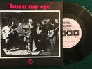 RADIO BIRDMAN   Burn My Eye UK 1987 Total Eclipse 1st edition  7