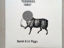 DANIEL HIGGS LUNGFISH ATOMIC YGGDRASIL TAROT VINYL LP RARE OOP