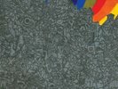 Lightning Bolt - Wonderful Rainbow NEW LP