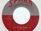 R&B DOO WOP 45 - ROBINS 