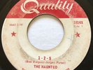 GARAGE PUNK The Haunted 1-2-5 Quality 45 very rare KILLER Canadian FUZZ