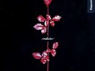 Depeche Mode - Violator (LP, Album) Vinyl Schallplatte - 175213