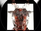 2019 RSD Black Friday ' Slipknot Vinyl 7