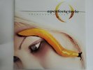 A Perfect Circle Thirteenth Step (2003) Vinyl   Lightly Used Excellent Condition