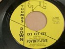 Rare NW Garage Punk 45 The Poverty Five 