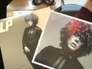Forever for Now - LP  Vinyl Record  Into The Wild, Lost On You