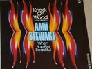 AMII STEWART - KNOCK ON WOOD (MAXI 12
