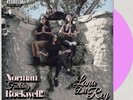 LANA DEL REY- NFR -NORMAN ROCKWELL LIMITED  PINK  2 x  VINYL LP  NEW