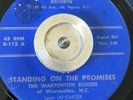Rare Black Gospel 45 - The Warrenton Echoes 