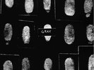 Gray shades of 3LP RSD BLACK FRIDAY 2019
