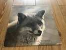 RAVJUNK uppsala stadshotell brinner SWEDISH PROG KRAUT PUNK PRIVATE RÄVJUNK LP