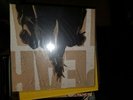 Pearl jam ten collector's edition  gatefold vinyl 12