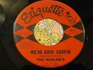 Garage Surf 45 The Wailers We're Goin' Surfin / Shakedown ETIQUETTE EX HEAR