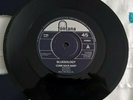 BLUESOLOGY, COME BACK BABY,1965 FONTANA (1991 REISSUE) WITH INFO CARD, N/M.