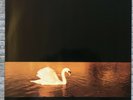 Van Morrison ?– Avalon Sunset 839 262-1 HOLLAND LP Tested