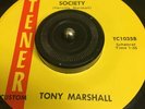 FLORIDA Garage Psych Funk TONY MARSHALL Society / A Girl TENER Custom 45 Hear