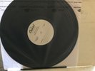 The Ramones End Of The Century Test Pressing Winchester Plant