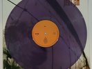 New Pearl Jam VS Purple Colored Vinyl LP Record Ten Yield Vitalogy No Code