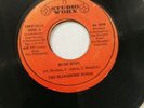 BLOODFIRE POSSE - RUDE BOYS // RUDE BOYS PT 2  [ STUDIO WORX 7