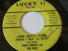 TERRY NIGHT & THE PACK / GRAND FUNK MICHIGAN GARAGE 45 LUCKY 11 HOW MUCH MORE
