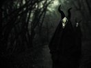 Futility Report [Vinyl] WHITE WARD