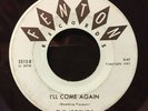 The Legends - I'll Come Again / I'm Just a Guy - Fenton Records Michigan Garage