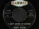 SONNY WILSON: I Ain't Giving Up Nothin' / Troubled Times 45 Rockabilly
