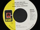 RAW SOUL EXPRESS: The Way We Live / This Thing Called Music 45 (one light mark