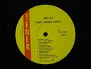 Various Artist Florida garage folk rock psych LP Bee Jay Video Sound Track Tener
