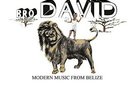 BRO DAVID Modern Music From Belize LP NEW VINYL Cultures Of Soul Kungo