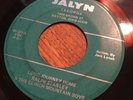 RALPH STANLEY Long Journey Home rare country C&W bluegrass JALYN shiny VG