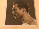 Rob Dougan Films Past And Future Vinyl