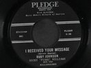 RUBY JOHNSON: I Received Your Message / Stop Wasting Your Tears 45 (scarce and