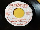 THE PARAGONS - DANGER IN YOUR EYES  /REGGAE 7