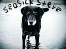 Seasick Steve You Can't Teach An Old Dog New Tricks vinyl LP album record UK