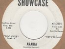 Delcos Arabia Showcase DEMO Soul Northern Reggae