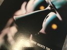 THE STRANGLERS   WHO WANTS THE WORLD Rare 12 Inch   Made In Japan 1980