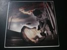 SCHOOL OF FISH SELF TITLED LP RECORD C1-94557