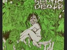 SEPTIC DEATH: Need So Much Attention-acceptance Of Whom LP (black vinyl origin