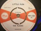 Little Flea The Flames Reggae ska island