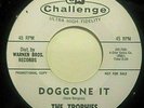 Doo Wop Rock  The Trophies 
