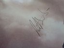 AUTOGRAPHED - The Jam - Setting Sons (Embossed) 1979 LP - POLD 5028