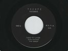 RARE Garage The Group 'Land Of Lakes' & 'Just In Case' Troupe Label 45 M-