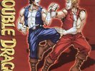 Double Dragon Vinyl Soundtrack LP New Unplayed Video Game