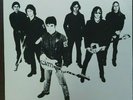 RADIO BIRDMAN - Radios Appear. 1978 Australian Pressing - VG+ 1978 TRL102